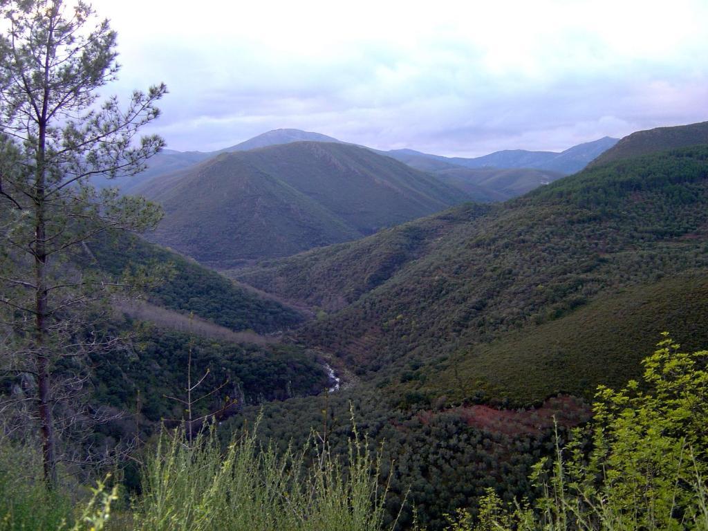 Alojamientos La Herrera San Esteban de la Sierra Quarto foto